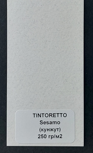TINTORETTO CEYLON SESAMO 250 фото