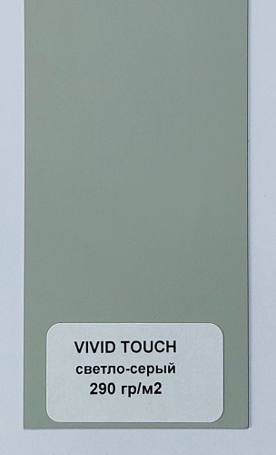 VIVID TOUCH светло-серый 290 фото