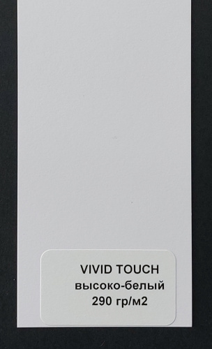 VIVID TOUCH высоко-белый 290 фото