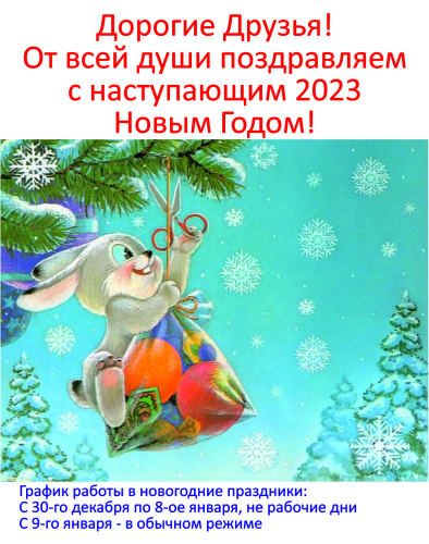 График работы в Новогодние праздники 2023