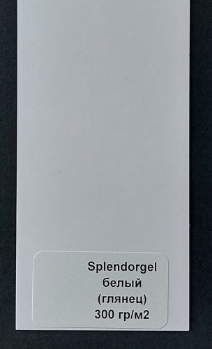 SPLENDORGEL E.W. 300 SPLENDORGEL E.W. 300 фото