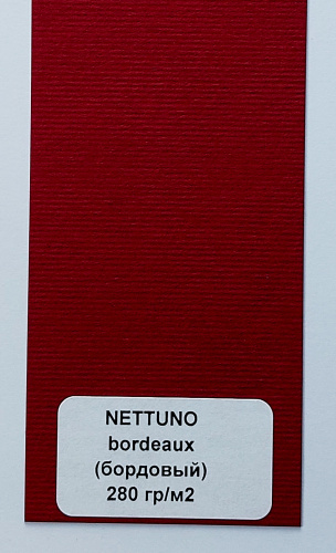 NETTUNO BORDEAUX 280 фото